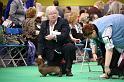 Crufts2011_2 713